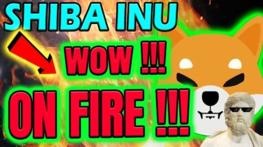 🔥🔥 SHIBA INU - WOW! SHIB ON FIRE! 🔥🔥 CRYPTO MARKET EXPLODING NOW! 💣💣💣