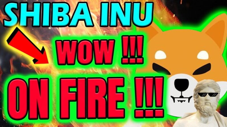 ðŸ”¥ðŸ”¥ SHIBA INU - WOW! SHIB ON FIRE! ðŸ”¥ðŸ”¥ CRYPTO MARKET EXPLODING NOW! ðŸ’£ðŸ’£ðŸ’£